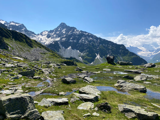 Half day guided walking in Verbier