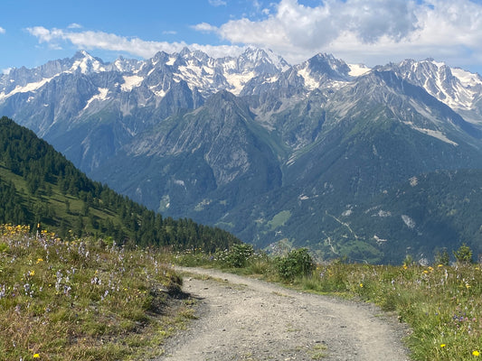 Full day guided walking in Verbier