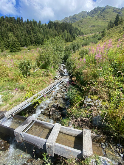 Half day guided walking in Verbier