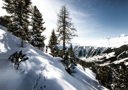 Full day guided snowshoeing in Verbier