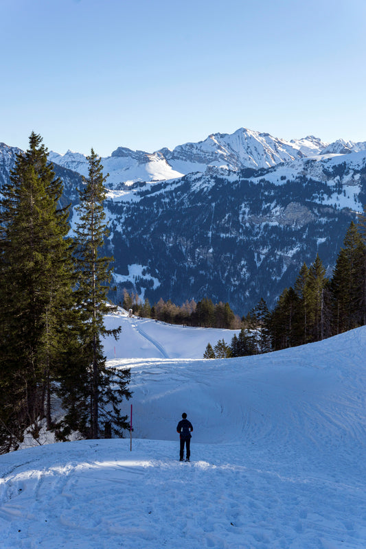 Half day guided snowshoeing in Verbier